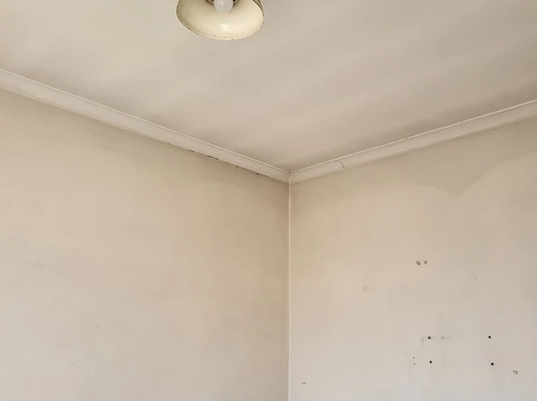 Garden Flat